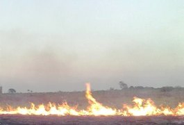 Corpo de Bombeiros Militar alerta a população de Arapiraca e região sobre os riscos das queimadas