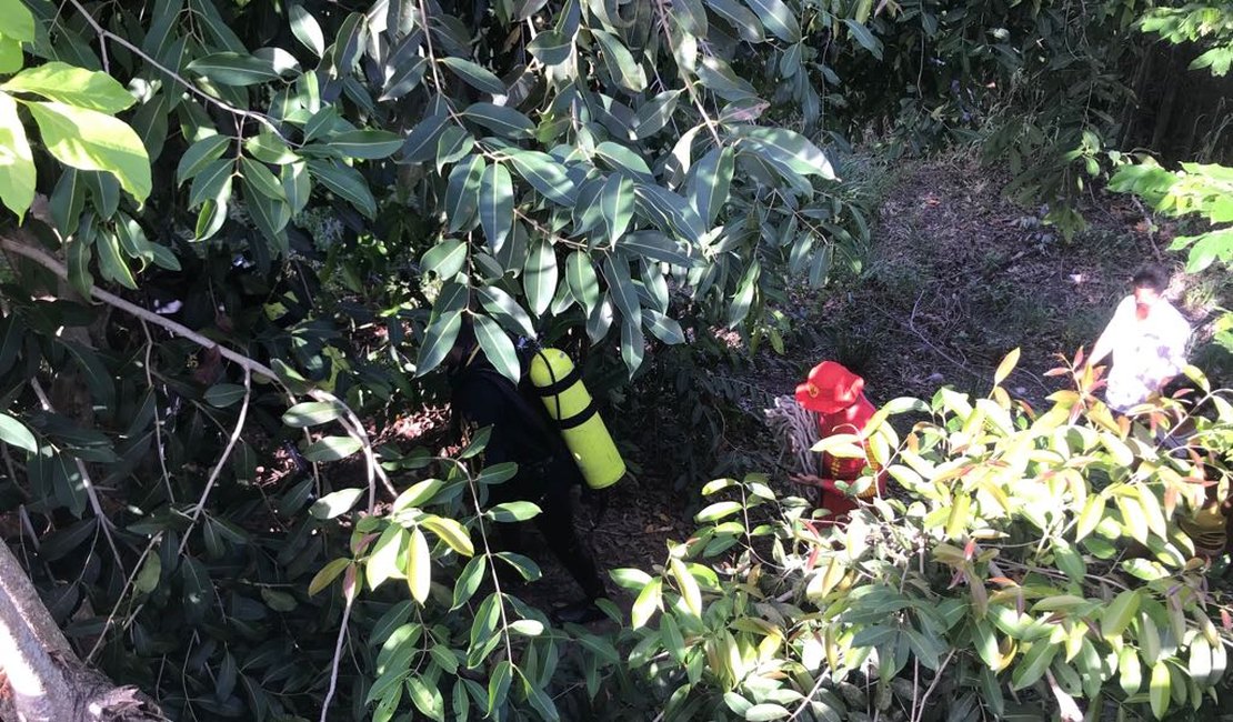 Mergulhadores procuram homem que desapareceu em rio, no interior de AL