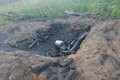 Operação Protetor dos Biomas intensifica combate a crimes ambientais em Alagoas
