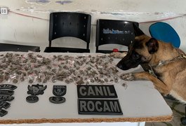 Grande quantidade de embalagens com maconha é apreendida e três homens são presos em ação da PM em Arapiraca