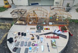 Operação prende 7 pessoas e apreende drogas e mais de R$ 83 mil reais no Sertão de AL