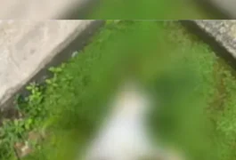 Moradores denunciam mortes e desaparecimento de animais com suspeita de envenenamento em condomínio de Maceió