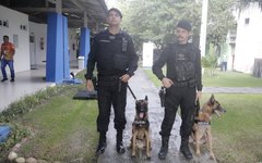 Homenagem a PMs que se destacaram em 2023