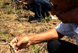 Adeal vai promover curso sobre pragas quarentenárias em Arapiraca