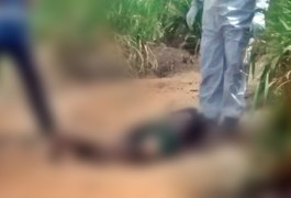 Após denúncia, corpo é encontrado em canavial em Coruripe, AL
