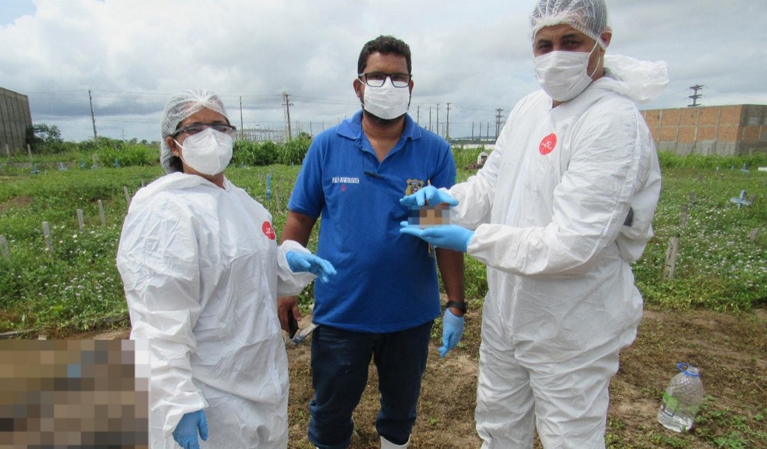 IML de Arapiraca identifica ossada carbonizada encontrada em canavial