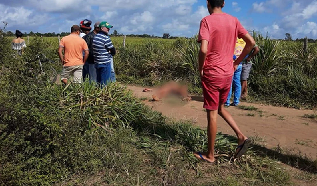 Corpo despido é encontrado em estrada vicinal no Agreste