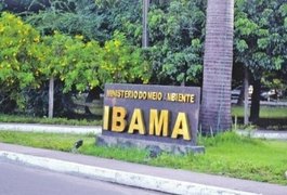 Concurso do IBAMA terá 847 vagas para nível médio em análise