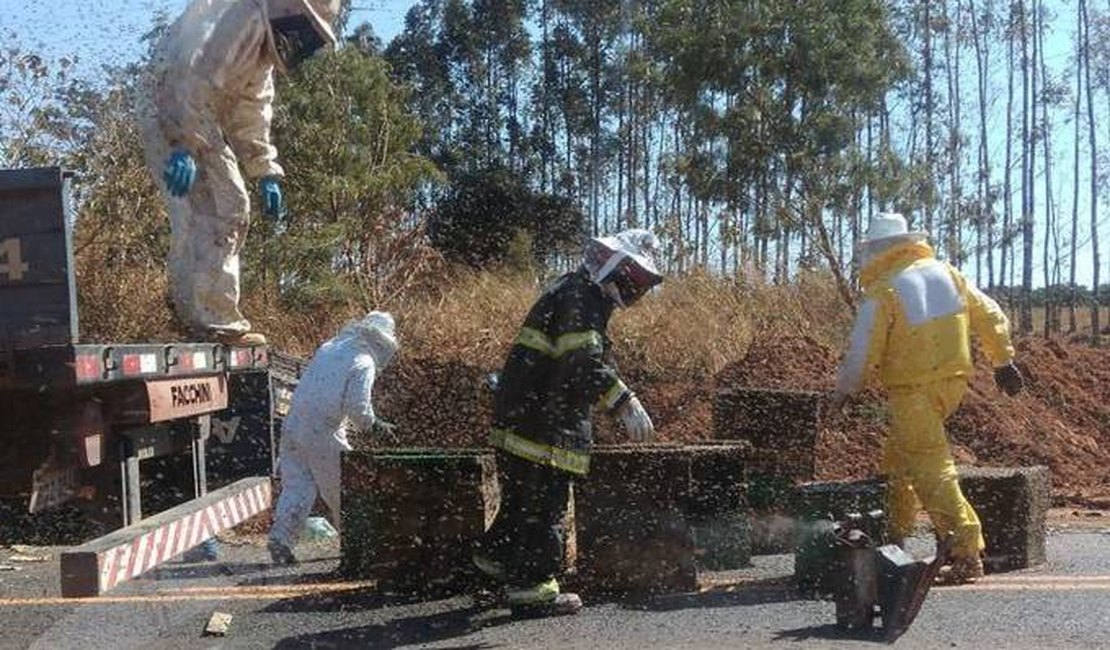 Mais de 1 milhão de abelhas interditam estrada após acidente