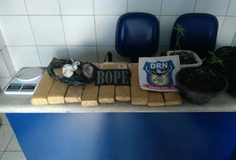 Polícia apreende mais de 10 quilos de maconha no Vale do Reginaldo,