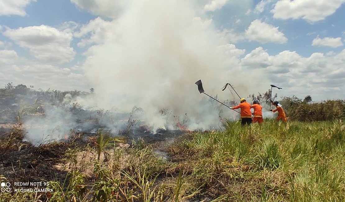 Bombeiros controlam incêndio que atingiu área de pasto na zona rural de Craíbas
