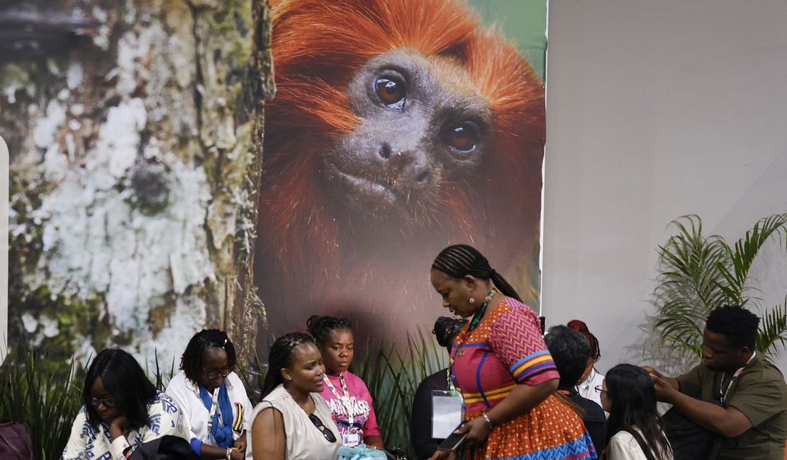 COP30: financiamento, transição e adaptação são centro das negociações
