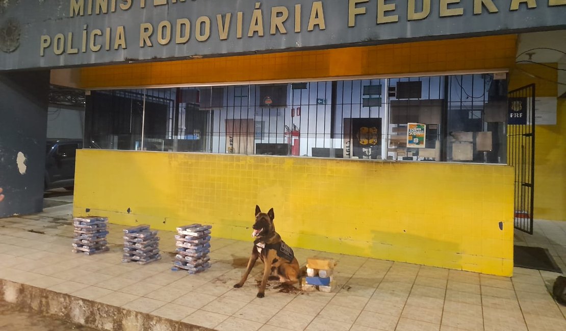 Mais de 50 Kg de maconha e crack são encontrados dentro de caminhão em São Miguel dos Campos