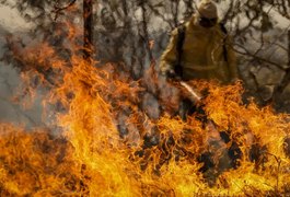 Entenda as linhas de investigação dos incêndios florestais no país