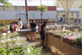 VÍDEO: Feira de Flores e Plantas Ornamentais de Holambra segue em Arapiraca até 23 de maio