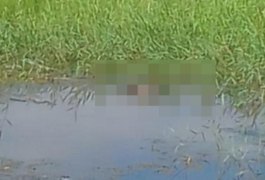 Corpo em estado de decomposição é encontrado em área alagada, em Porto Real do Colégio