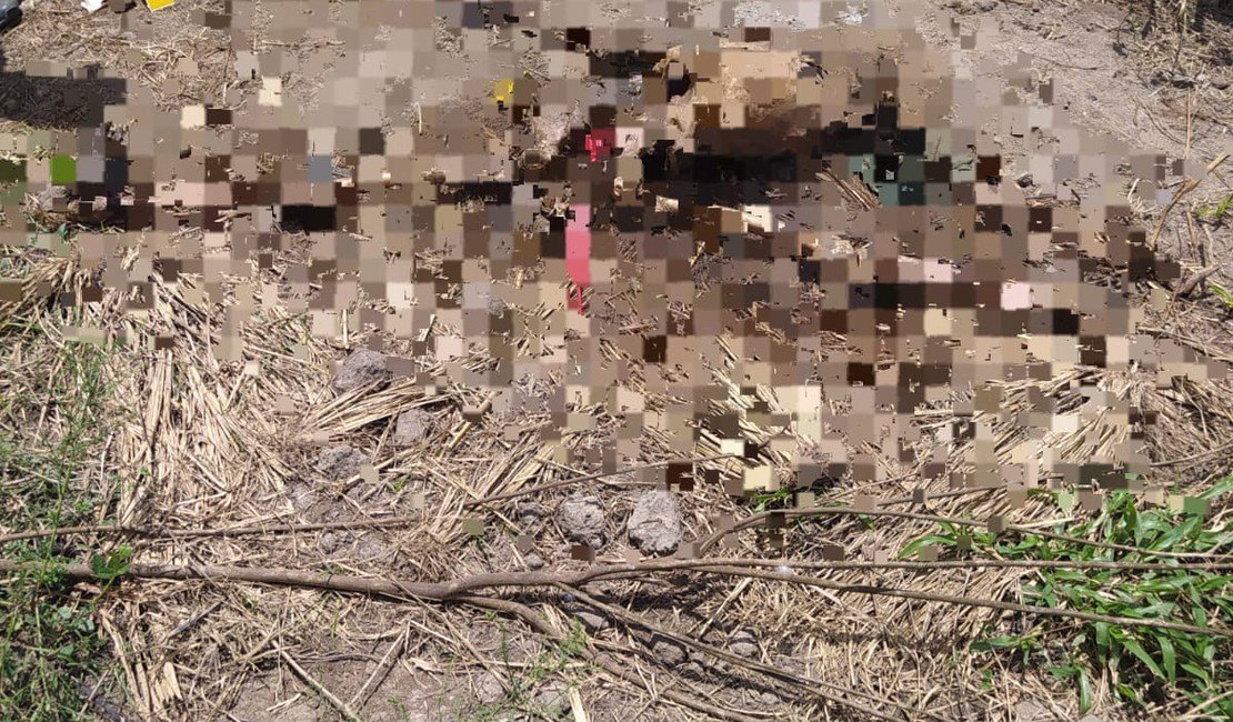 Restos mortais encontrados em Limoeiro de Anadia podem ser de idoso do bairro Canafístula