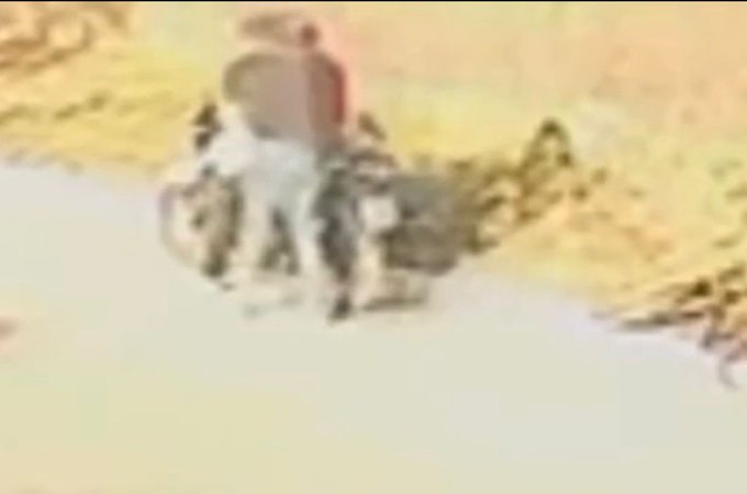 Câmeras de segurança registram fuga de suspeito de assassinar funcionário do CRB