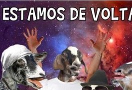 Seguidores comemoram volta do Bode Gaiato ao Facebook