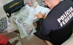 Operação Pasto de Papel, em Cacimbinhas