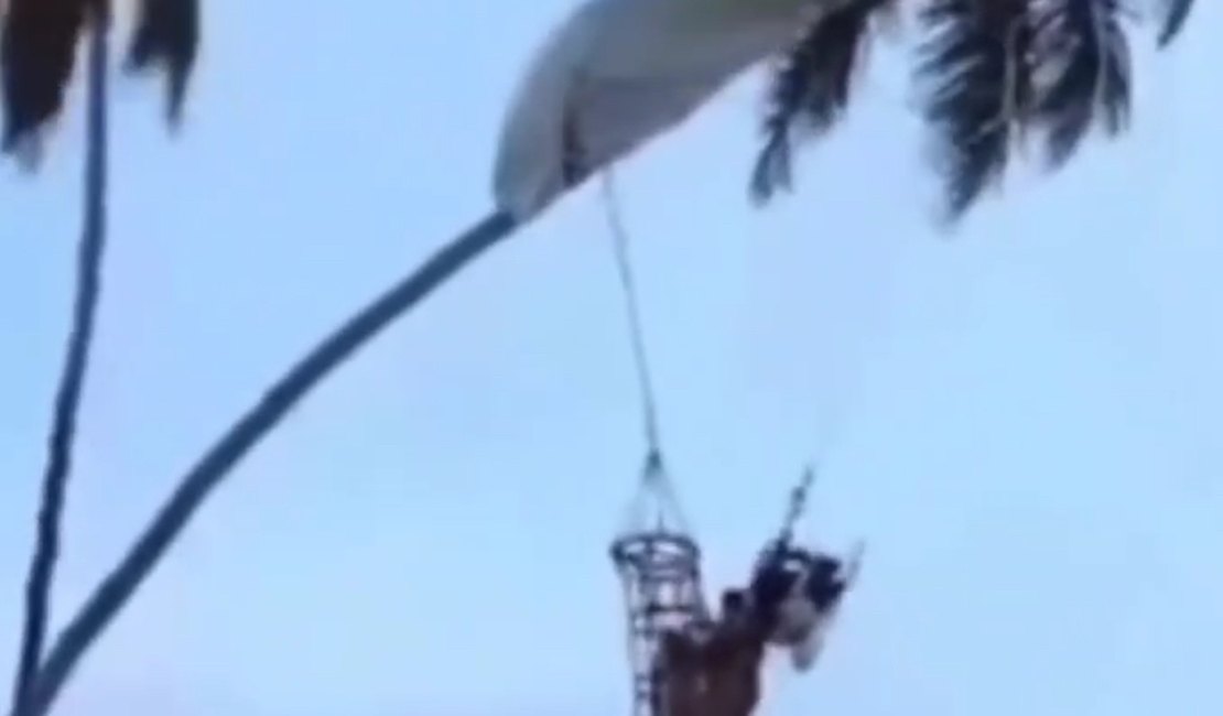 Homem cai de paramotor e fica pendurado em coqueiro em praia de Pernambuco