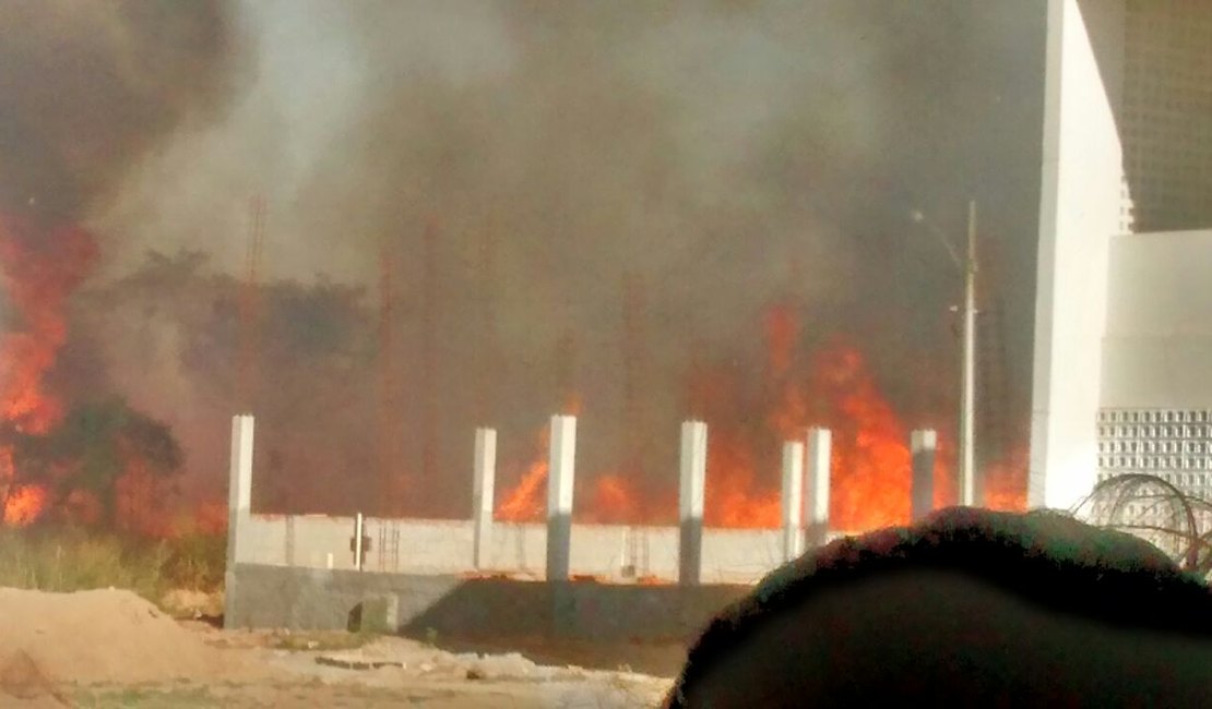 Incêndio atinge áreas do Campus da Ufal em Arapiraca
