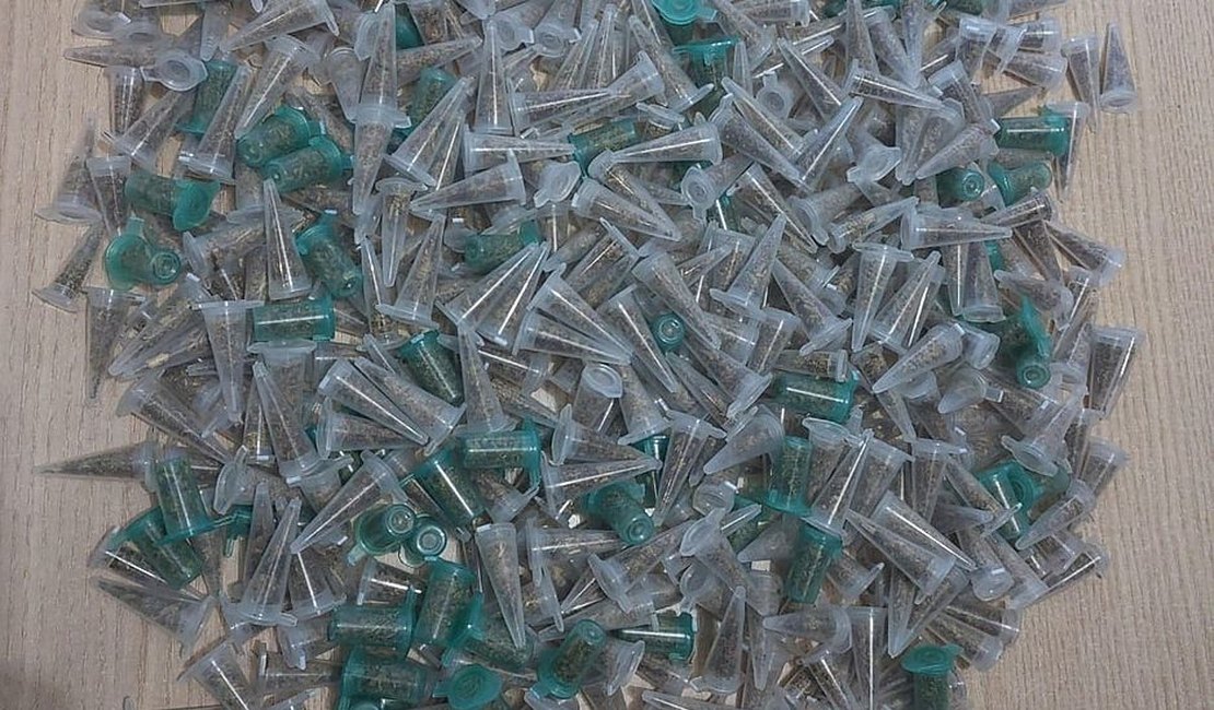 PM fecha boca de fumo, prende homem e apreende cocaína, 'maconha sintética' e arma em Maceió