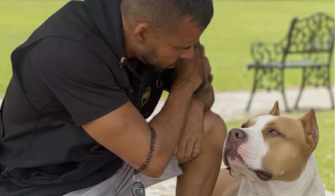 Adestrador alerta para riscos de cães agressivos e falta de responsabilidade de tutores em Arapiraca