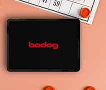 Bingo: onde jogar online?