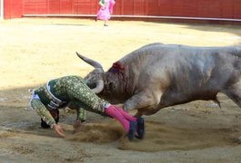 Vídeo. Toureiro é chifrado no reto ao se apresentar em arena de touros em Madri