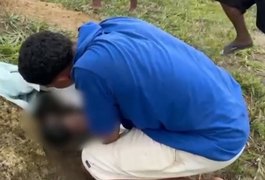 Secretaria de Segurança Pública esclarece vídeo de bebê abandonado e alerta para perigo das fake news