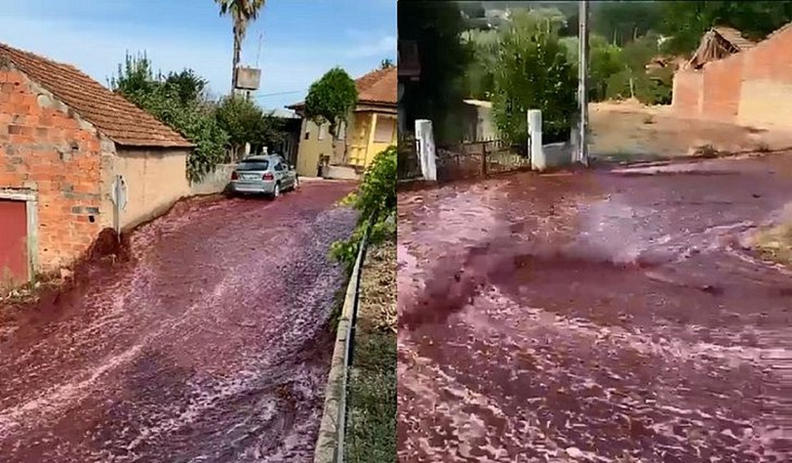 Tanques explodem e vinho tinto inunda ruas de Portugal