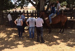 Veterinários realizam fiscalização para garantir o bem estar animal durante as vaquejadas