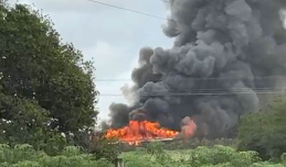 VÍDEO: Incêndio de grandes proporções atinge avícola na Baixa da Onça, em Arapiraca