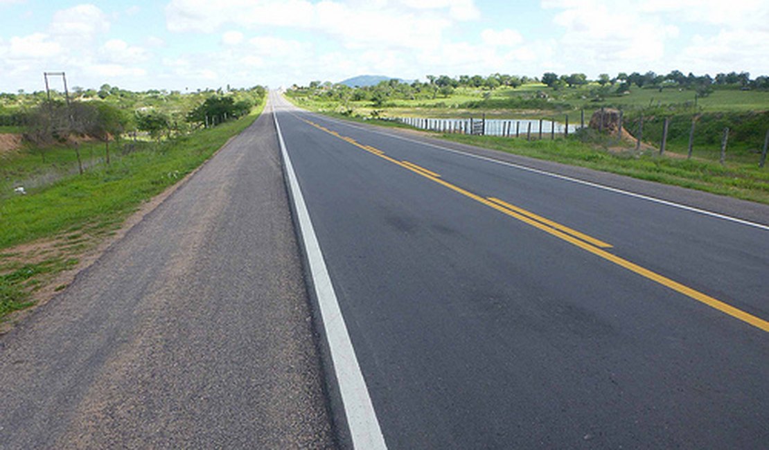 Motociclista morre ao colidir contra cavalo em trecho da BR-316