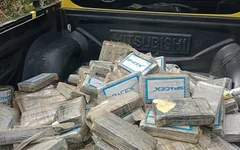 Drogas estavam dentro de avião que caiu em Coruripe