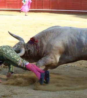 Vídeo. Toureiro é chifrado no reto ao se apresentar em arena de touros em Madri