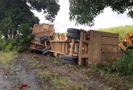 Caminhão tomba no acostamento e ocasiona outros dois acidentes na BR-316, no município de Pilar