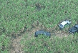 Canaviais viram cemitérios de carros roubados em Alagoas