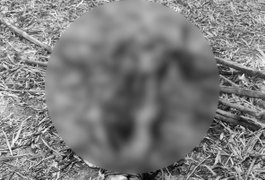 Corpo com cabeça decapitada e colocada entre as pernas é encontrado em canavial