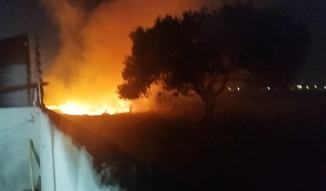 VÍDEO: Área de vegetação é atingida por incêndio mais uma vez em Arapiraca