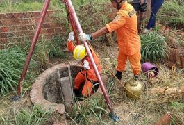 Três gatinhos caem em poço e são resgatados pelos bombeiros, em Arapiraca