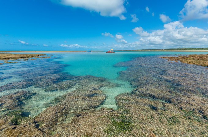 Praia de Alagoas é considerada uma das 100 melhores praias do mundo