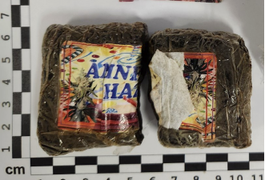 Polícia Federal apreende mais de meio quilo de drogas enviadas pelos Correios e cumpre mandado contra receptador, em Maceió