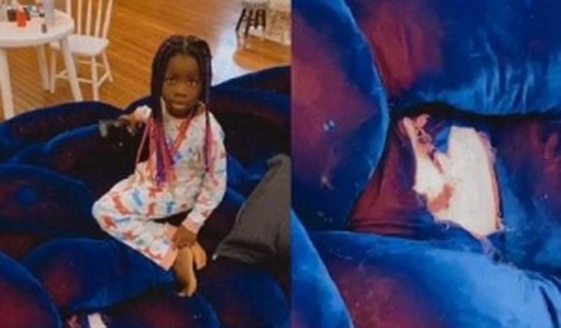 Cachorro de Bruno Gagliasso destrói sofá avaliado em R$ 500 mil