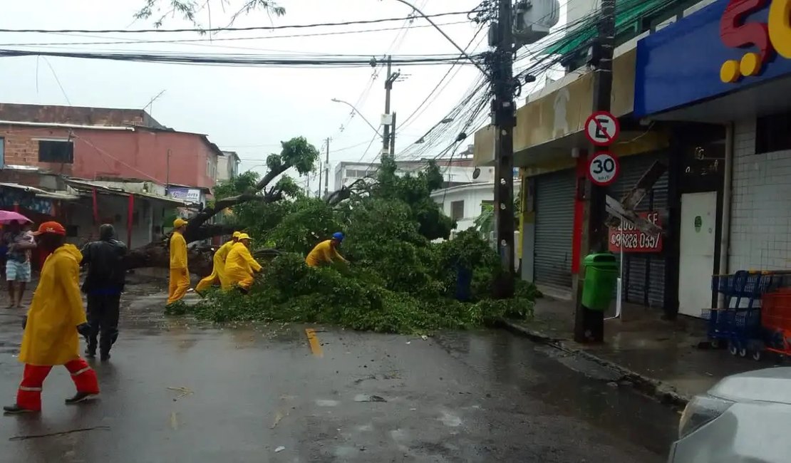 Nordeste terá chuvas volumosas de amanhã até sexta-feira, alerta Inmet