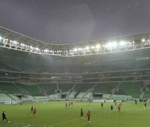 Palmeirenses esgotam ingressos para jogo de reabertura do Palestra