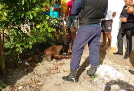 Jovem é encontrado morto em chácara na zona rural de Junqueiro
