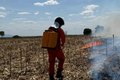 Corpo de Bombeiros registra aumento de 80% nos incêndios em vegetação em Alagoas