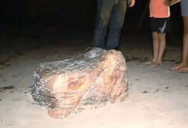 Pilhas de couro são encontradas na faixa de areia do litoral alagoano
